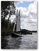 IMG_5003.JPG