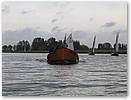 IMG_5333.JPG