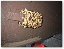 IMG_1835.JPG