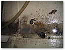 IMG_1860.JPG