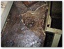 IMG_1862.JPG