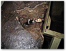 IMG_1864.JPG