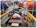 IMG_4248.JPG