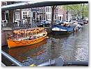 IMG_4267.JPG