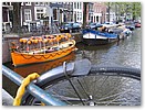 IMG_4269.JPG