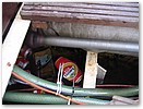 IMG_4564.JPG