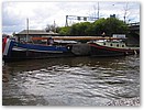 IMG_4567.JPG