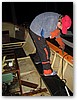 IMG_4056.JPG