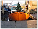 IMG_4245.JPG