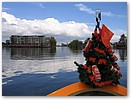 IMG_4550.JPG