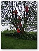IMG_4903.JPG