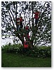 IMG_4904.JPG