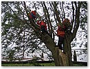 IMG_4911.JPG