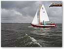 IMG_4921.JPG