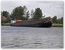 IMG_4928.JPG
