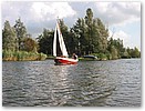 IMG_7085.JPG