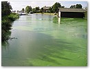 IMG_7092.JPG