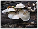 IMG_7589.JPG