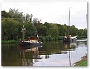 IMG_7613.JPG