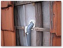 IMG_1960.JPG