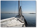 IMG_1910.JPG