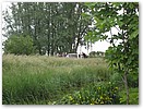 pinkst07-032.JPG