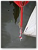 IMG_2896.JPG