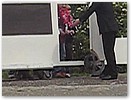 pinkst07-239a.jpg