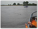 pinkst07-961.JPG