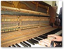 pinkst07-981.JPG