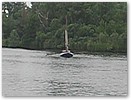 pinkst07-950a.jpg