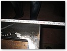 IMG_4524.JPG