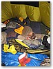 lowlands07-079.JPG