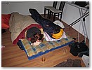 IMG_9841.JPG