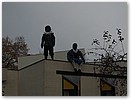 IMG_0762.JPG