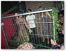 IMG_2646.JPG