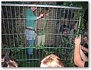 IMG_2662.JPG