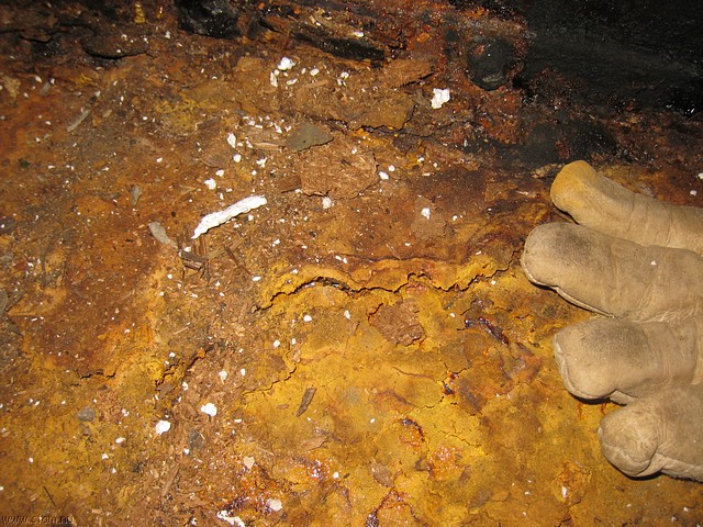 IMG_1854.JPG
Make: Canon
Model: Canon DIGITAL IXUS 850 IS
DateTime: 2-1-2008 11:26:08
EXIFImageWidth: 3072
ExifImageLength: 2304
Flash: Flash fired - Auto mode - Red-eye reduction
ShutterSpeedValue: 1/60 sec
ApertureValue: F8
FocalLength: 6,14 mm