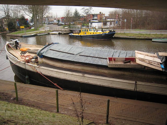 IMG_1887.JPG
Make: Canon
Model: Canon DIGITAL IXUS 850 IS
DateTime: 4-1-2008 16:53:37
EXIFImageWidth: 3072
ExifImageLength: 2304
Flash: Flash did not fire - Compulsory flash suppression
ShutterSpeedValue: 1/60 sec
ApertureValue: F2,8
FocalLength: 4,6 mm