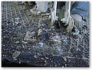 IMG_2908.JPG