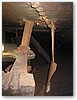 IMG_3893.JPG
