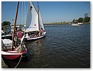 IMG_4703.JPG
