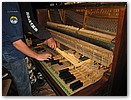 IMG_4874.JPG