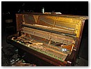 IMG_4878.JPG