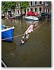 IMG_4884.JPG