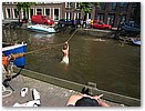 IMG_4894.JPG