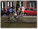 IMG_4911.JPG