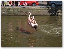 IMG_4934.JPG