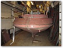IMG_5447.JPG
