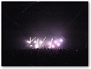IMG_7996.JPG